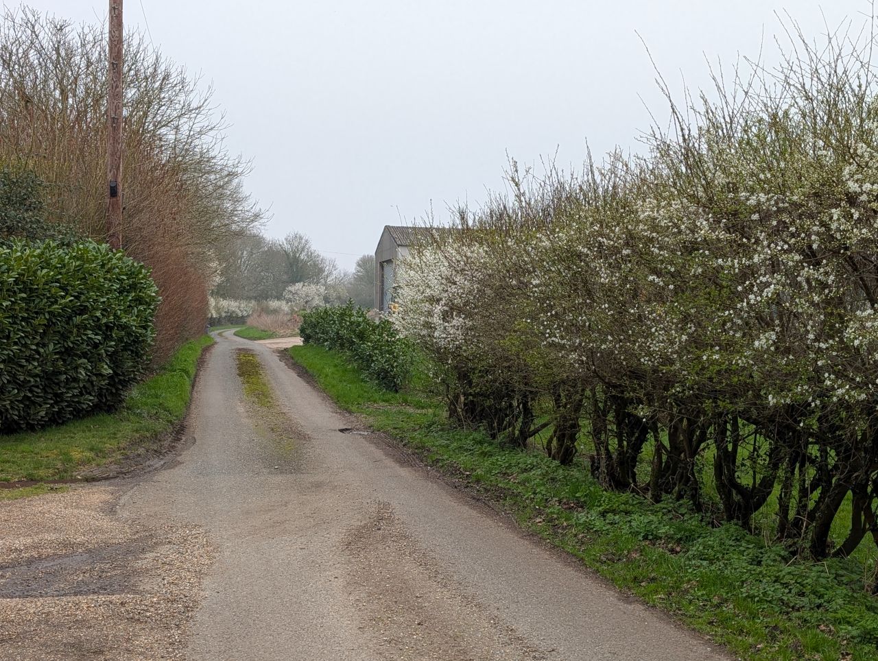 2026-03-04 54 Long Melford to Glemsford.jpg