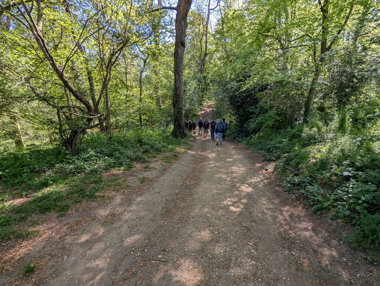 2026-05-01 05 Arger Fen and Bures Dragon.jpg