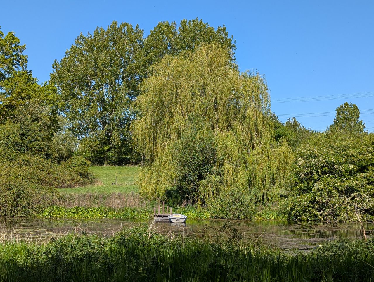 2026-05-01 08 Arger Fen and Bures Dragon.jpg
