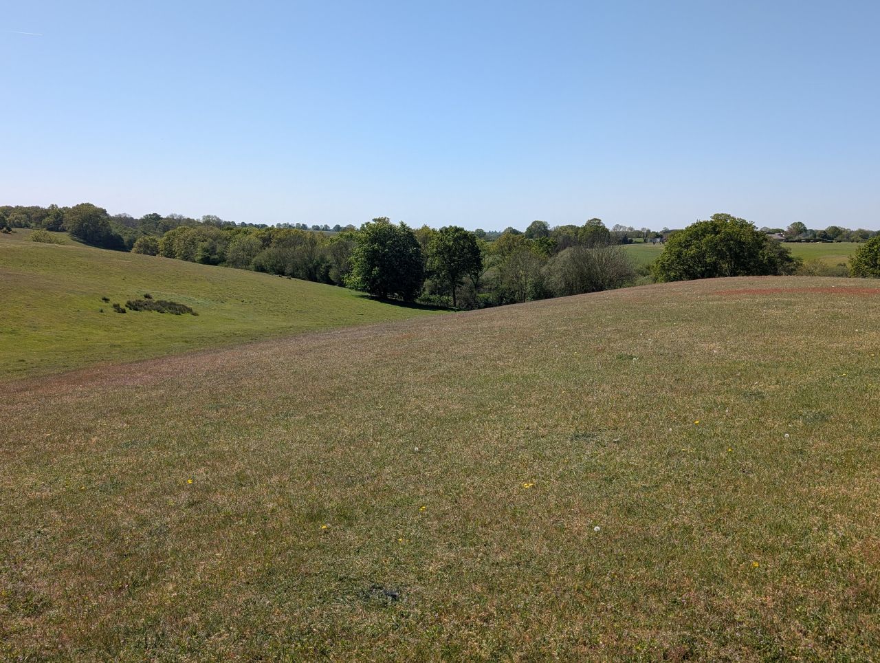 2026-05-01 12 Arger Fen and Bures Dragon.jpg