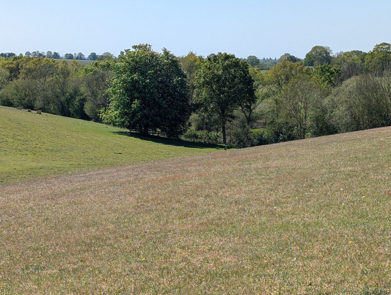 2026-05-01 13 Arger Fen and Bures Dragon.jpg