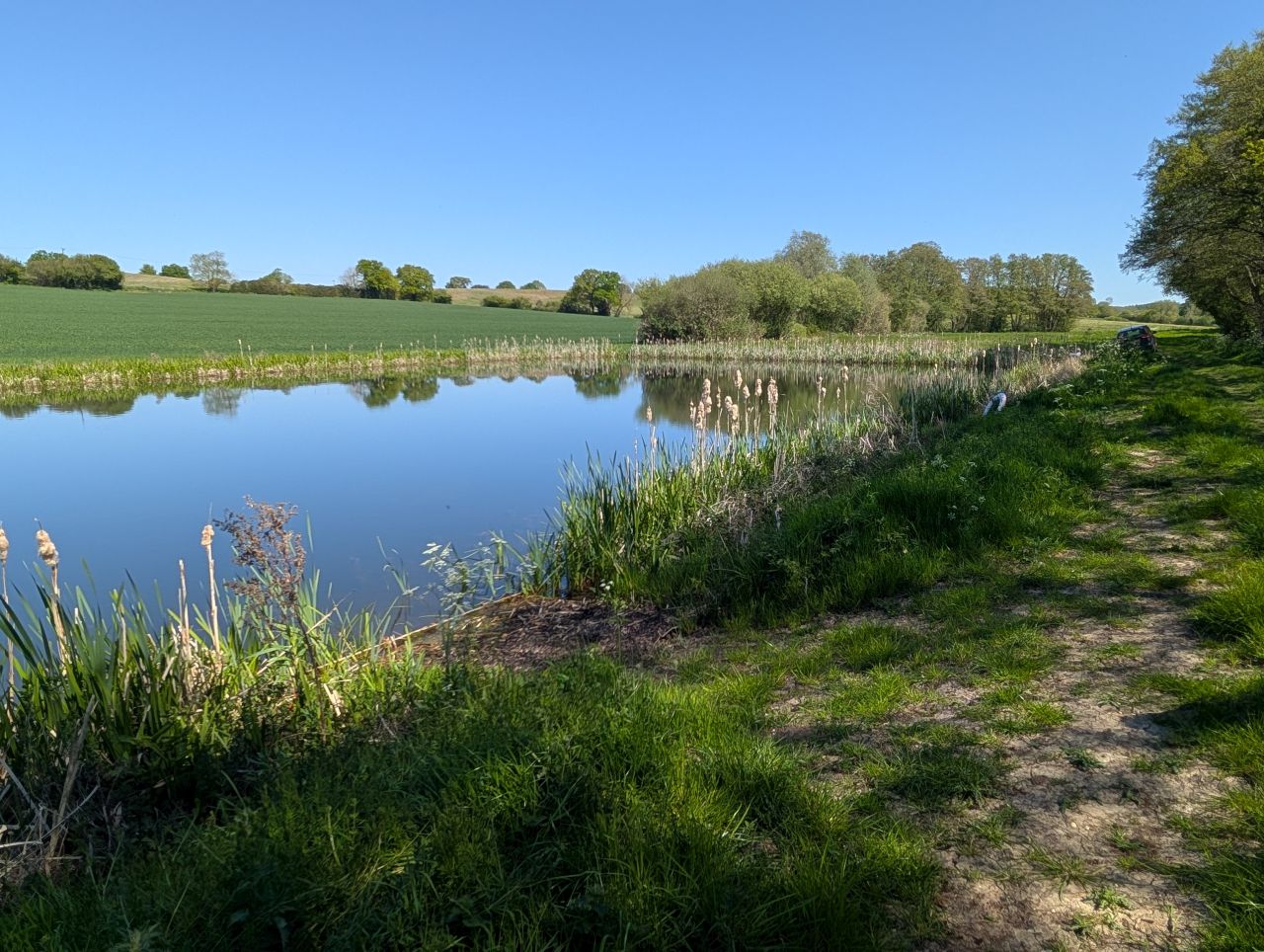 2026-05-01 18 Arger Fen and Bures Dragon.jpg