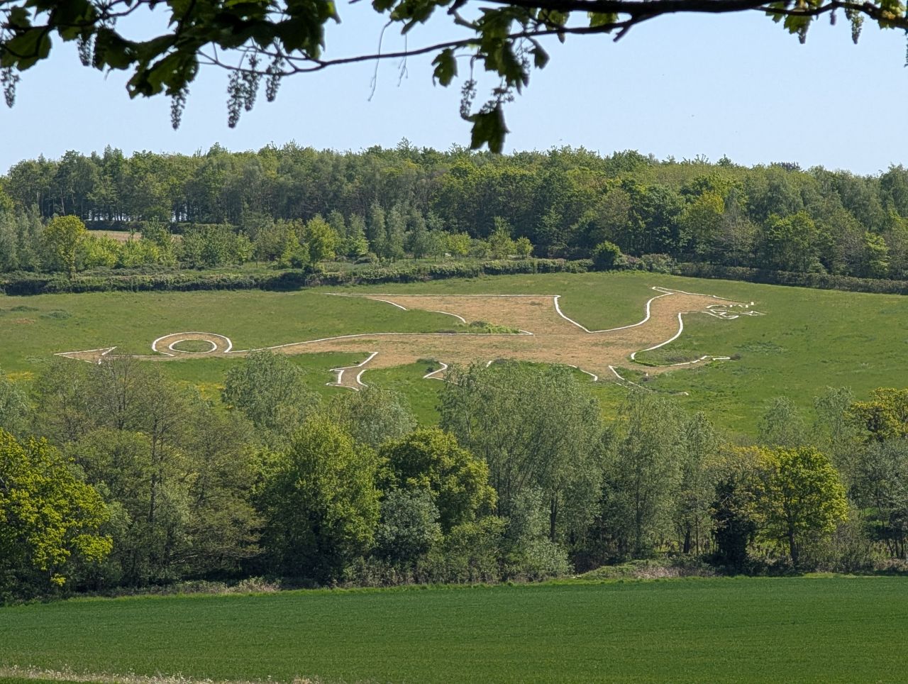 2026-05-01 40 Arger Fen and Bures Dragon.jpg