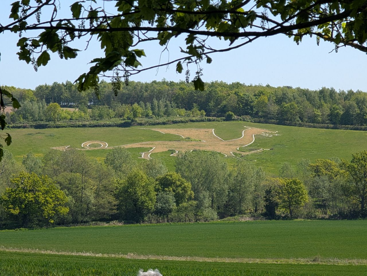 2026-05-01 41 Arger Fen and Bures Dragon.jpg