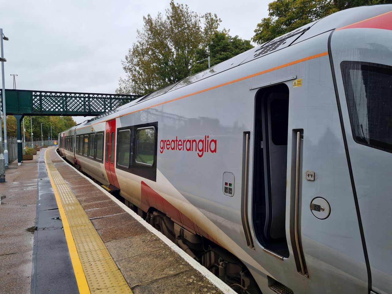 2024-10-19 01 Basil (Faulty).jpg