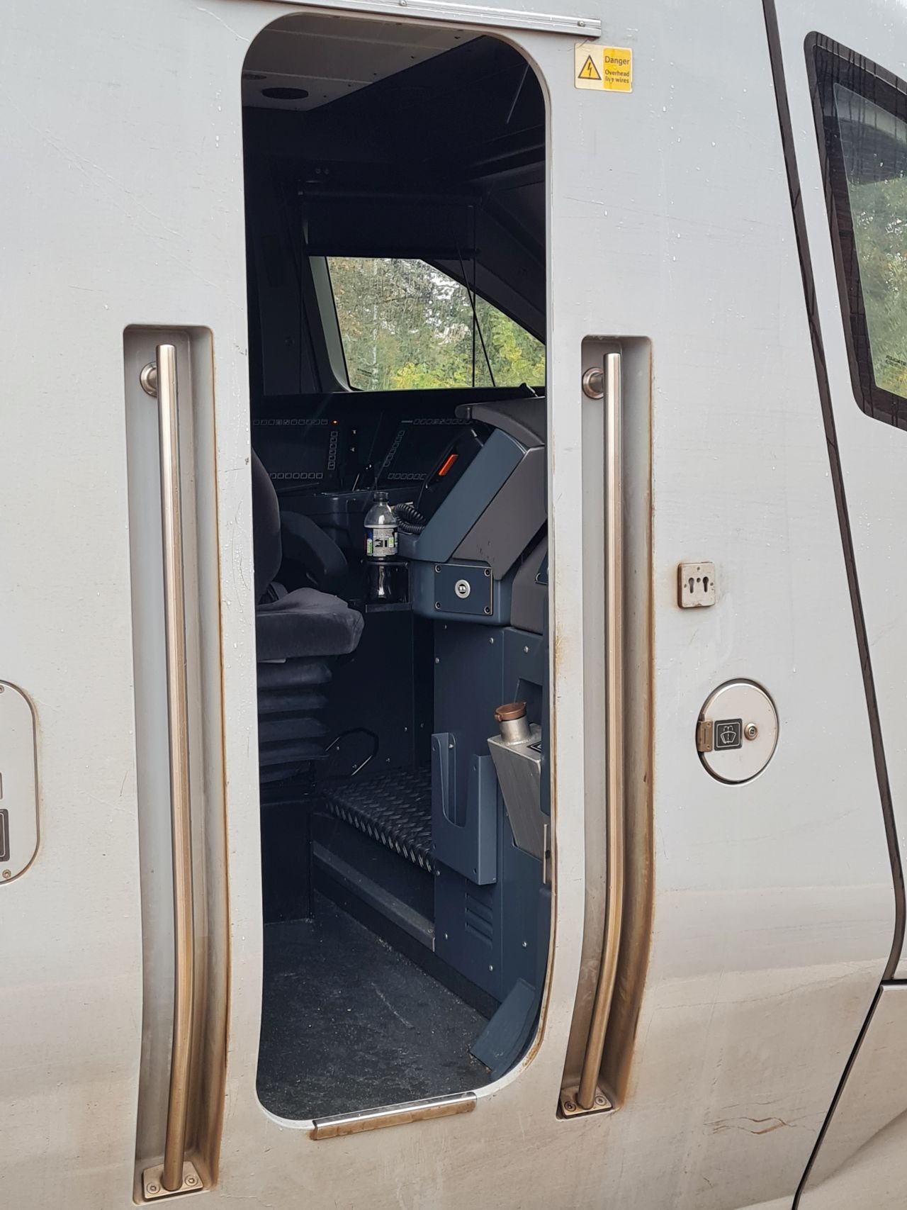 2024-10-19 02 Basil (Faulty).jpg