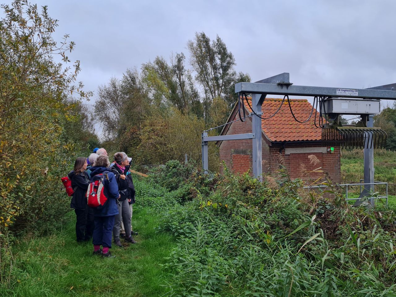 2024-10-19 05 Waveney River East.jpg