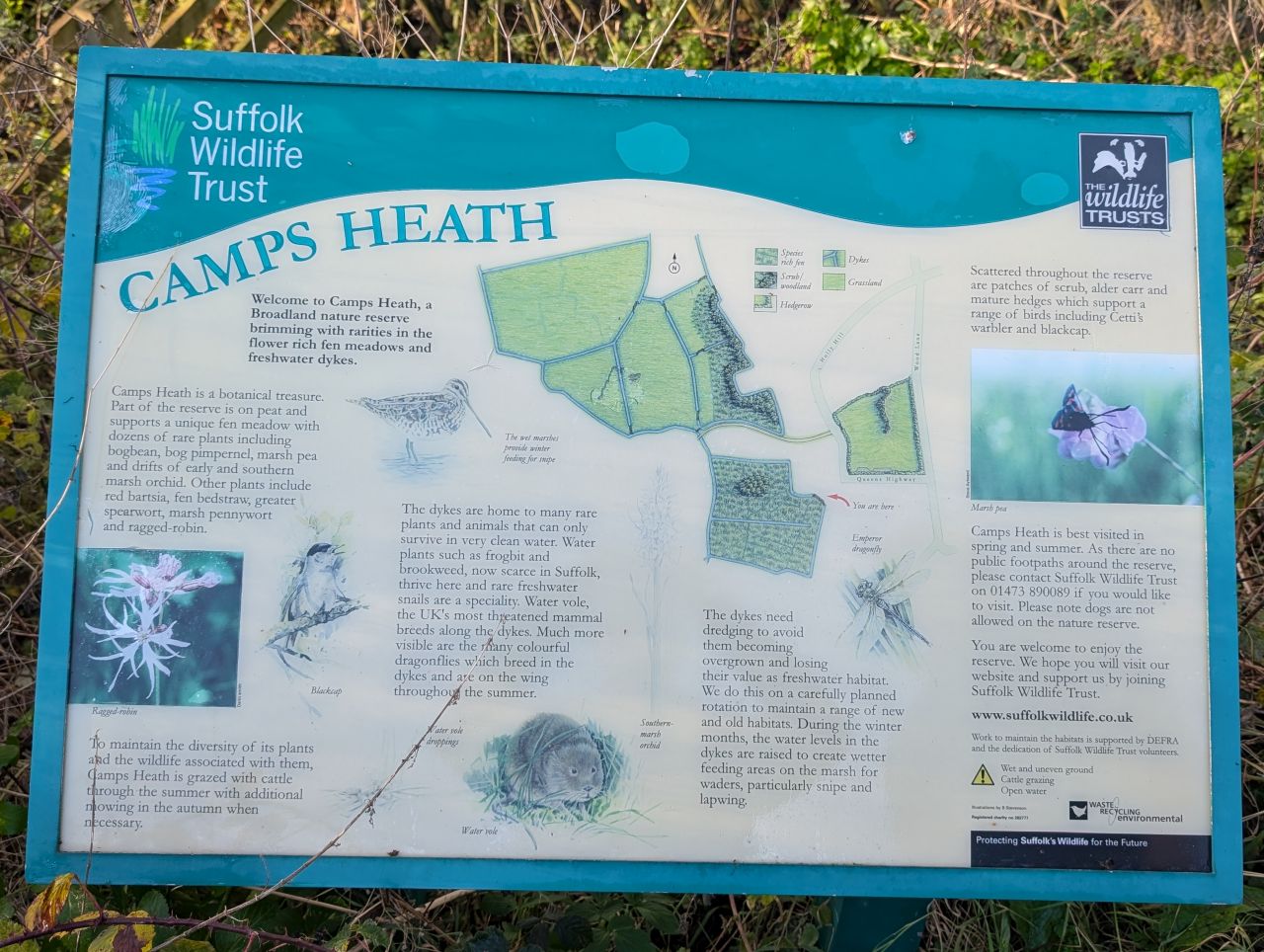 2025-12-05 01 Camps Heath.jpg