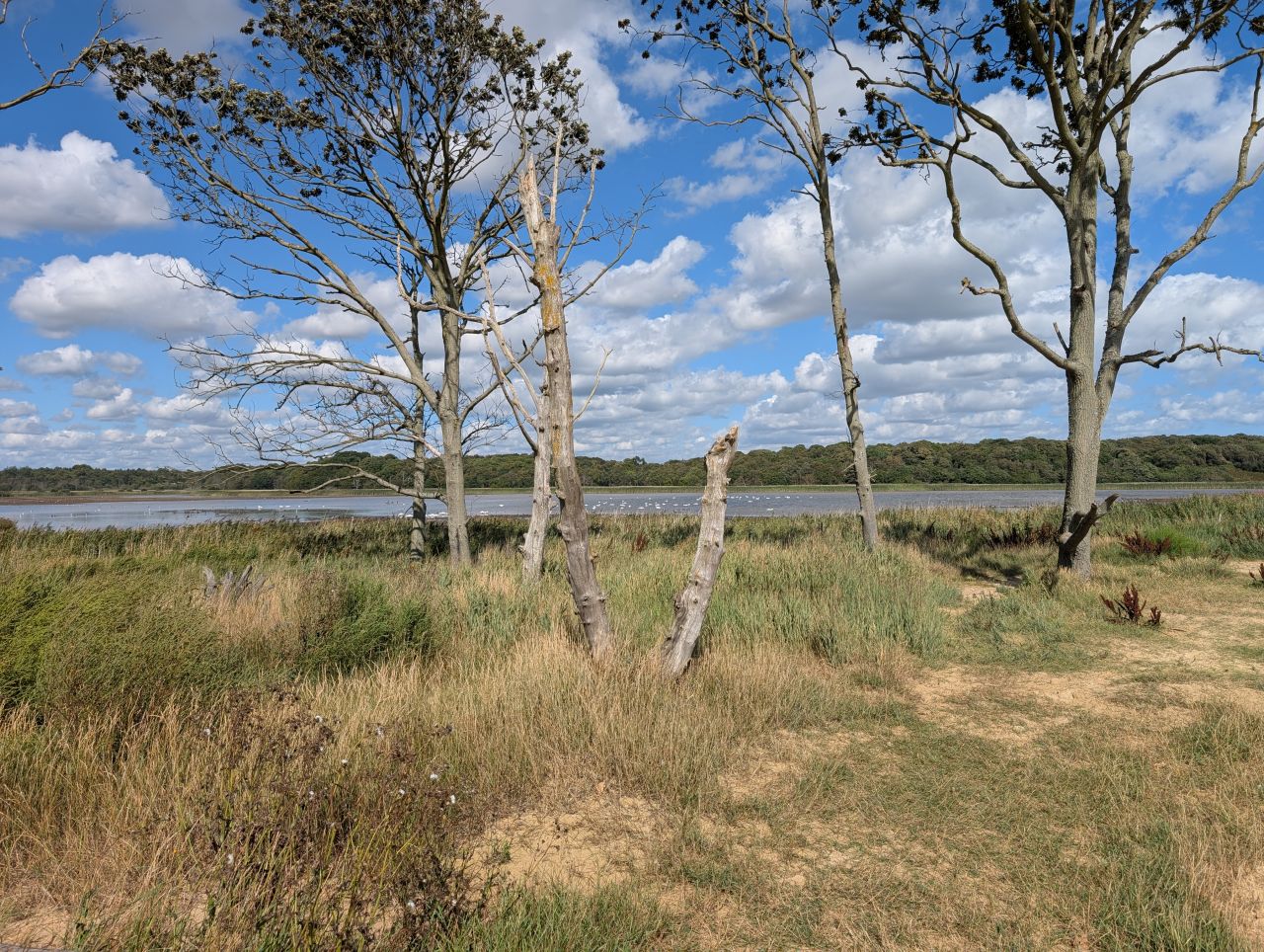 2025-08-30 01 Covehithe.jpg