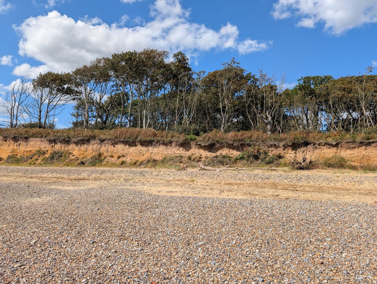 2025-08-30 04 Covehithe.jpg