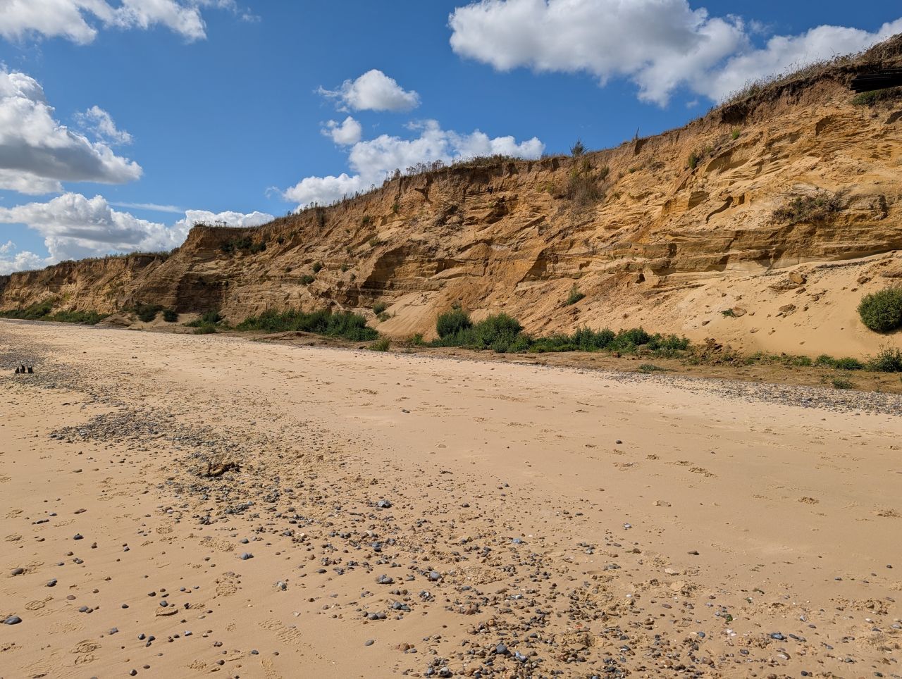 2025-08-30 05 Covehithe.jpg