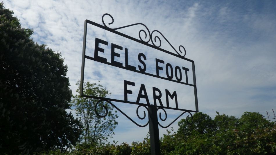 2019-05-22 05 Eels Foot Farm.jpg
