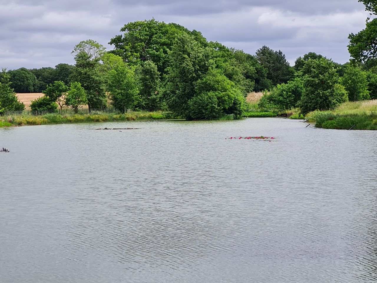 2025-06-25 09 Saint James South Elmham.jpg