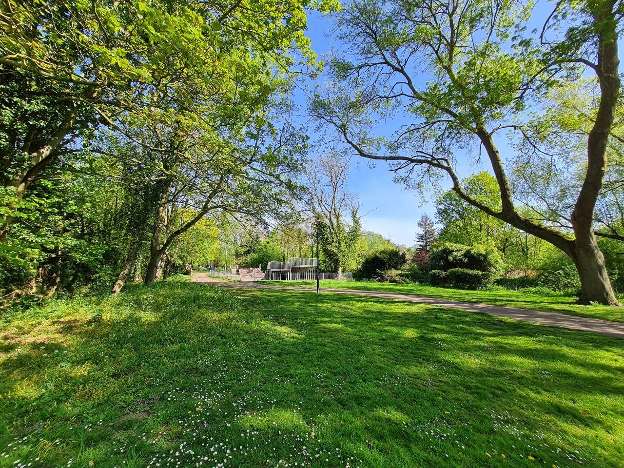 2025-04-29 08 Halesworth and Darsham.jpg