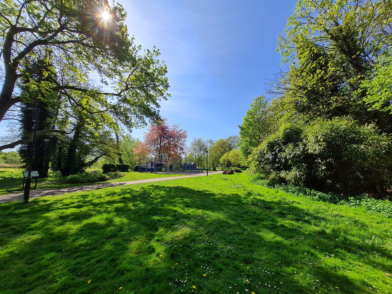 2025-04-29 09 Halesworth and Darsham.jpg