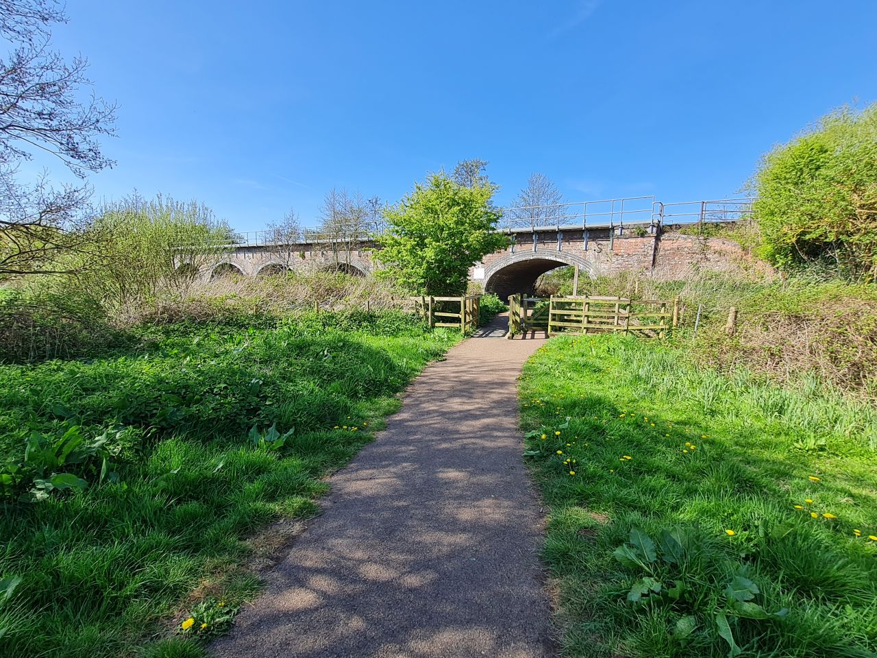 2025-04-29 11 Halesworth and Darsham.jpg