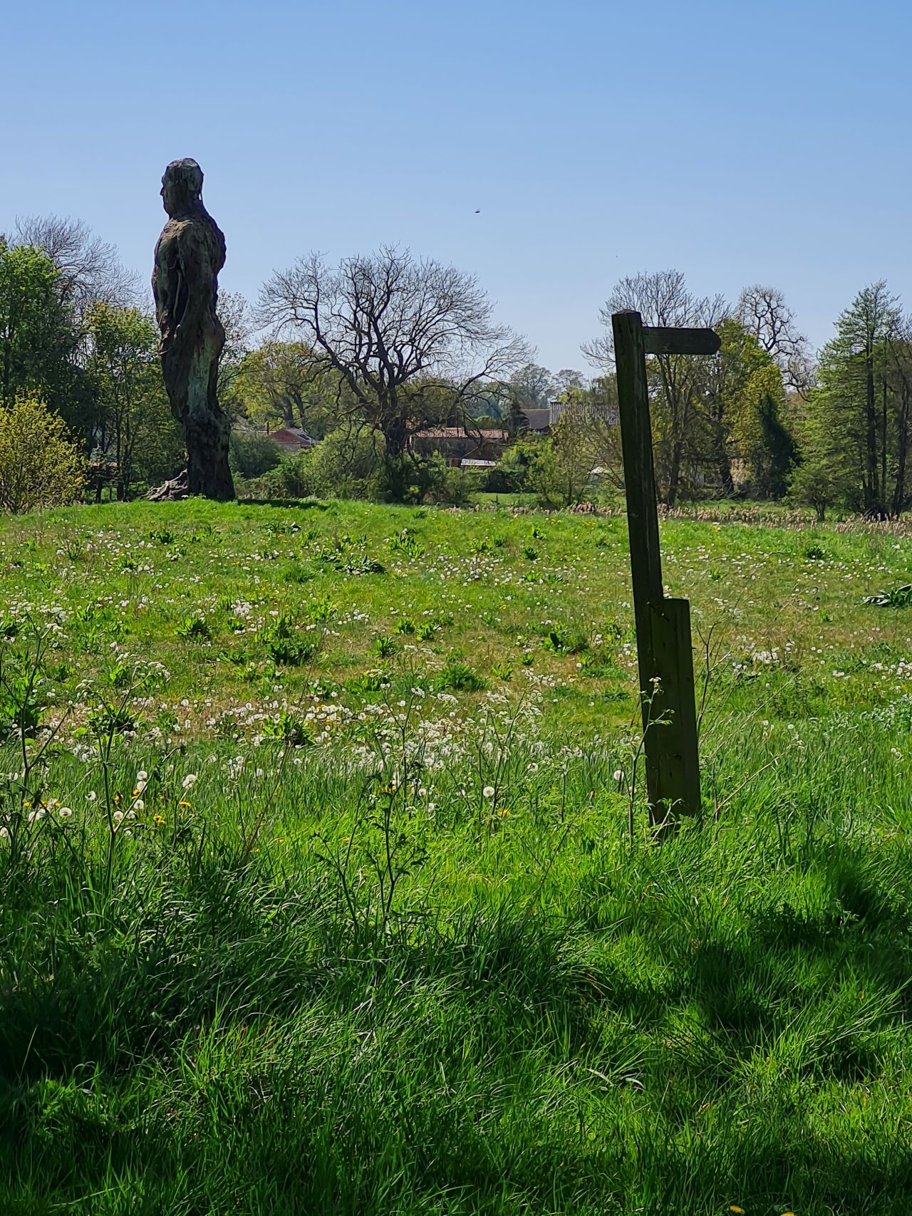 2025-04-29 18 Halesworth and Darsham.jpg