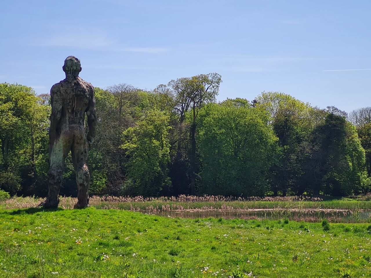 2025-04-29 20 Halesworth and Darsham.jpg