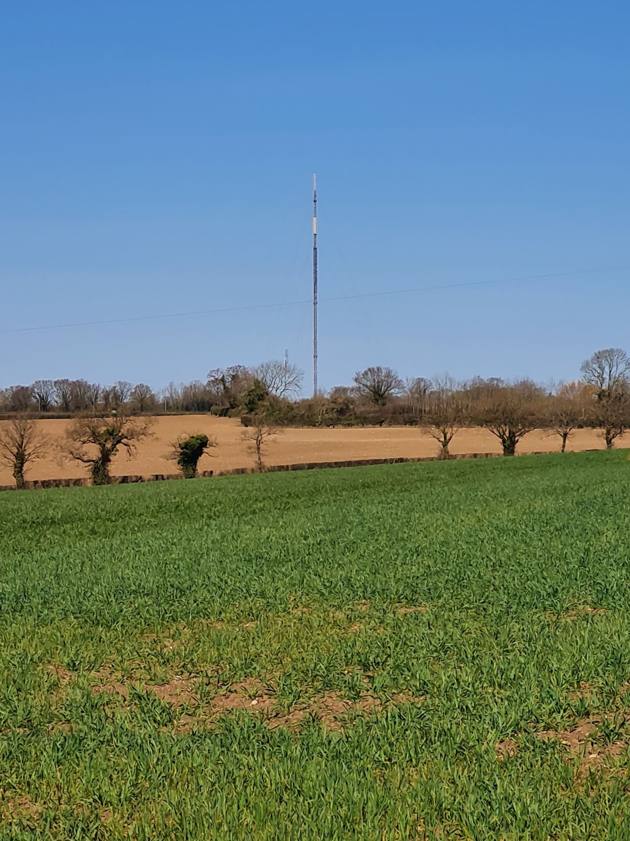 2025-04-01 07 Forncett End and Bunwell.jpg