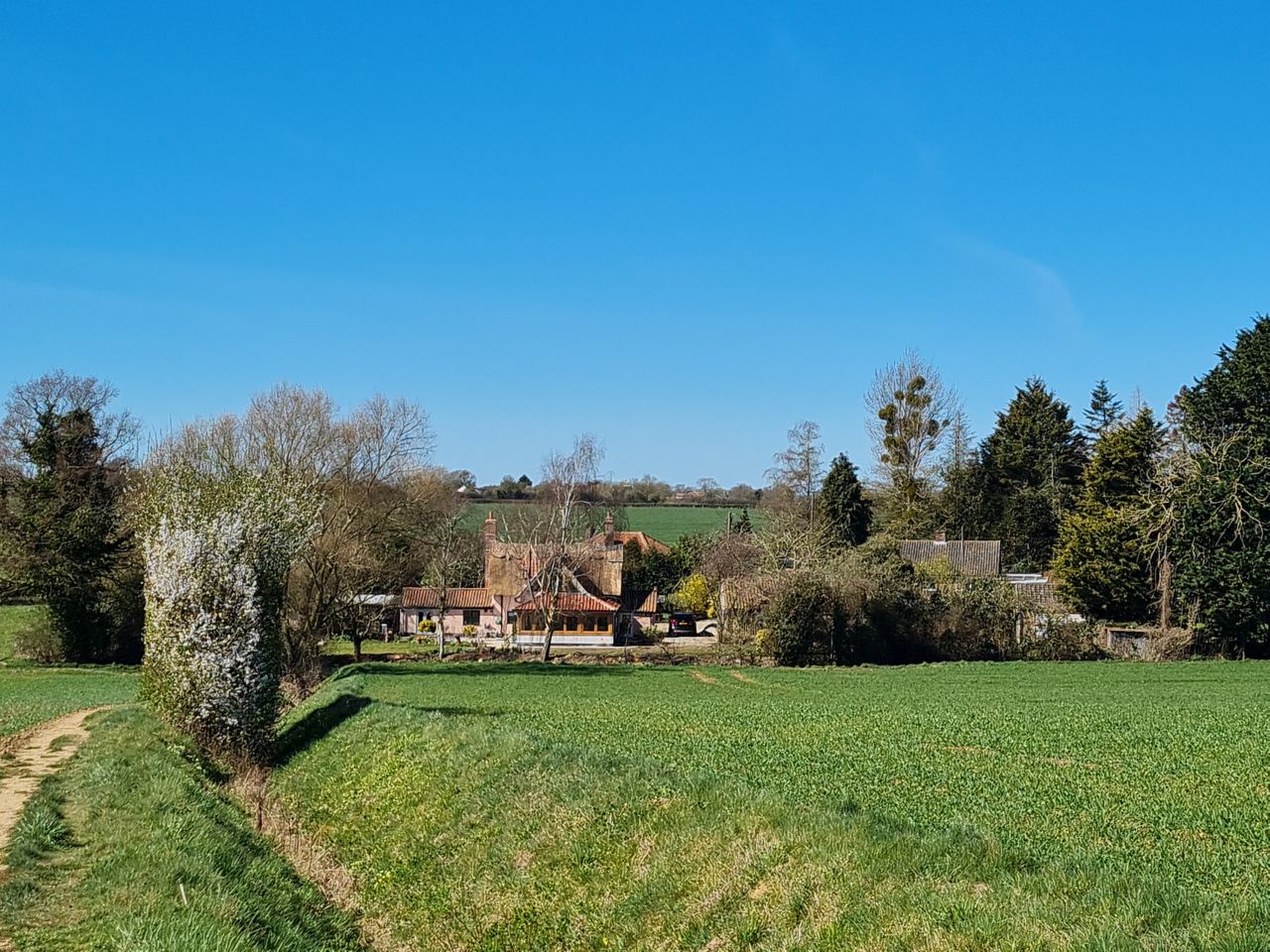 2025-04-01 08 Forncett End and Bunwell.jpg