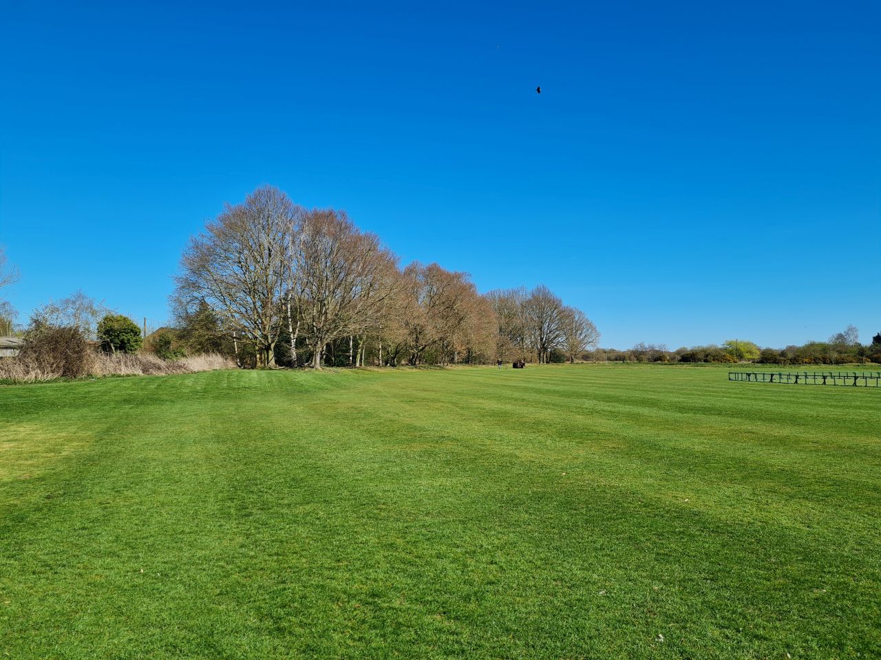 2025-04-01 09 Forncett End and Bunwell.jpg