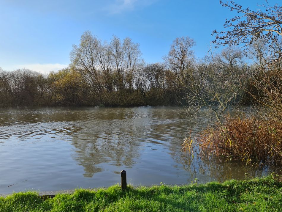 2021-12-03 03 Aldby.jpg