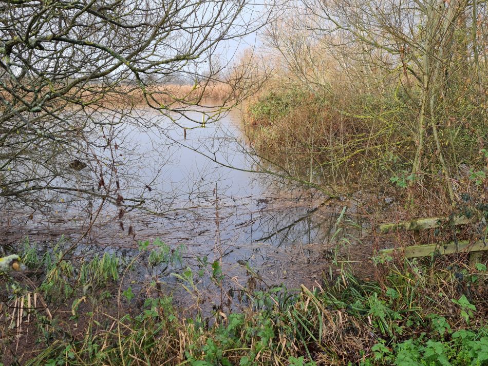 2021-12-03 06 Aldby.jpg