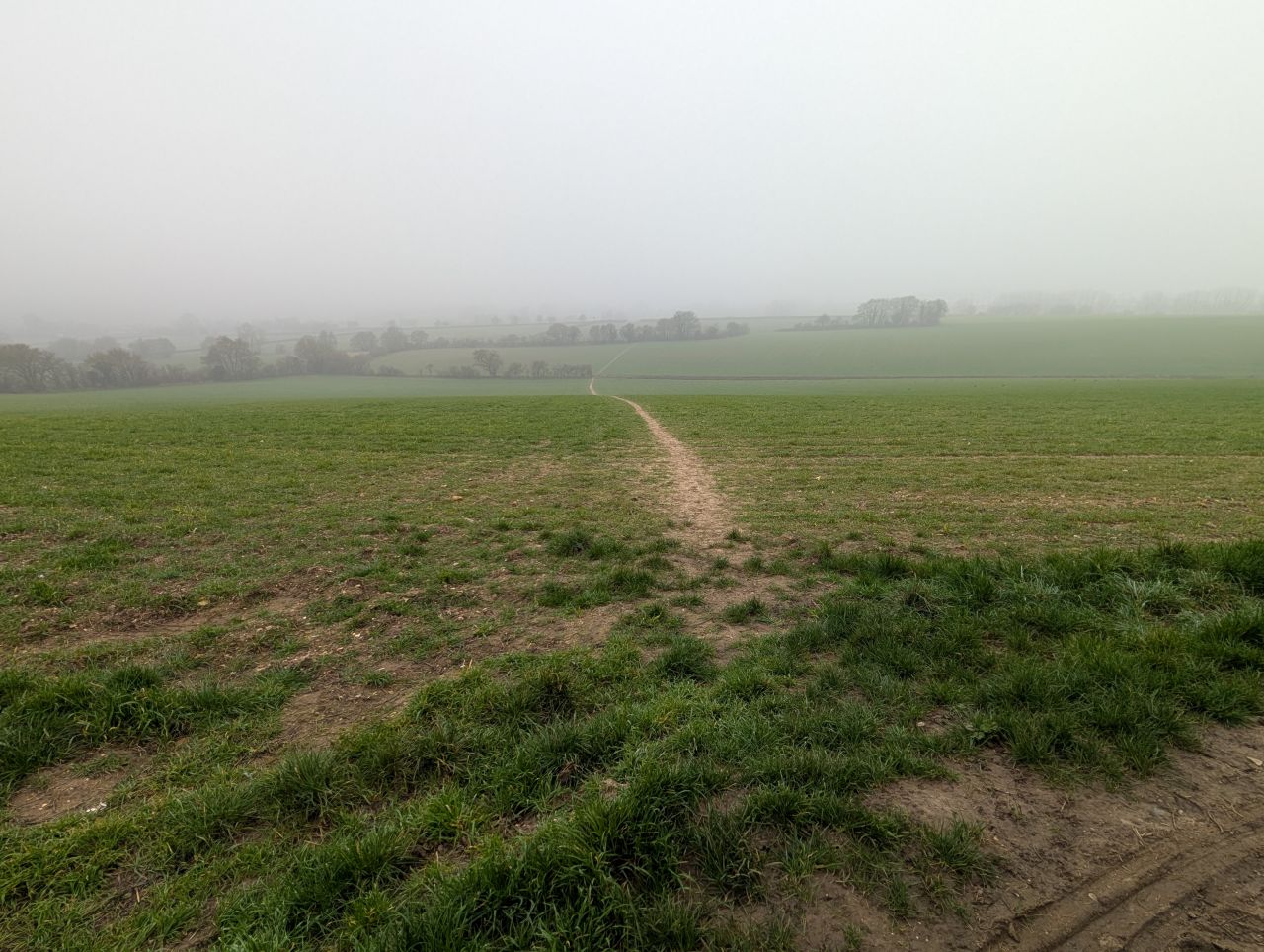 2026-03-06 02 Cavendish.jpg