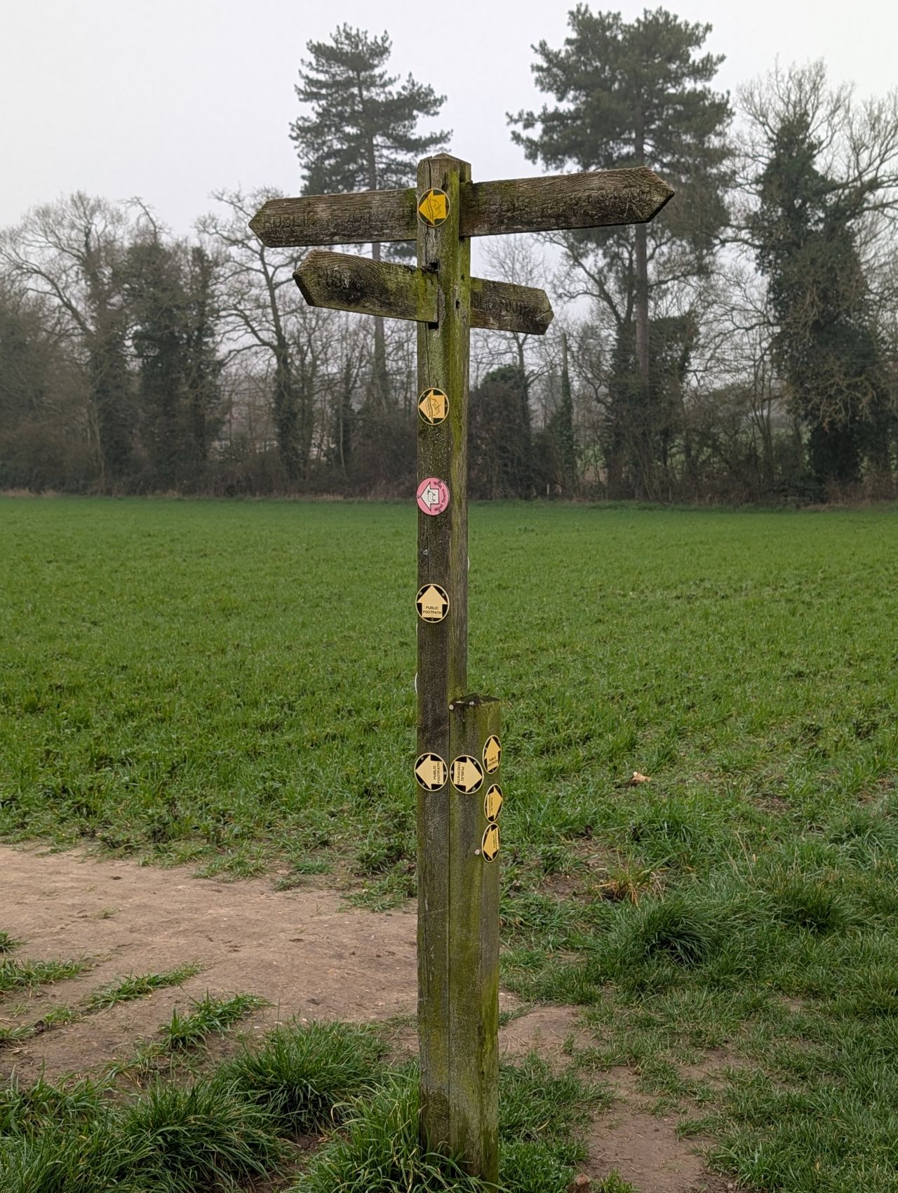 2026-03-06 05 Cavendish.jpg