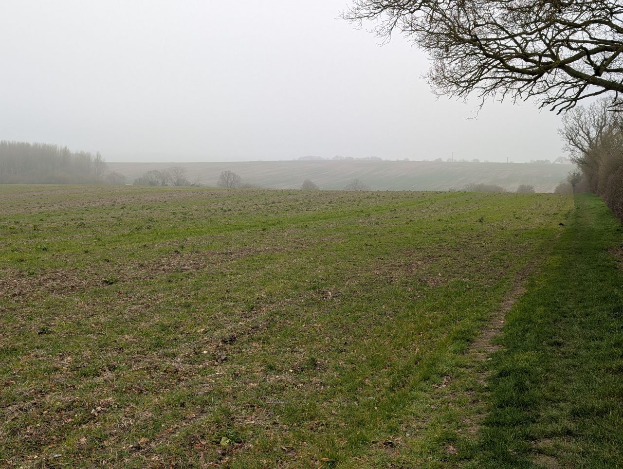 2026-03-06 42 Cavendish.jpg