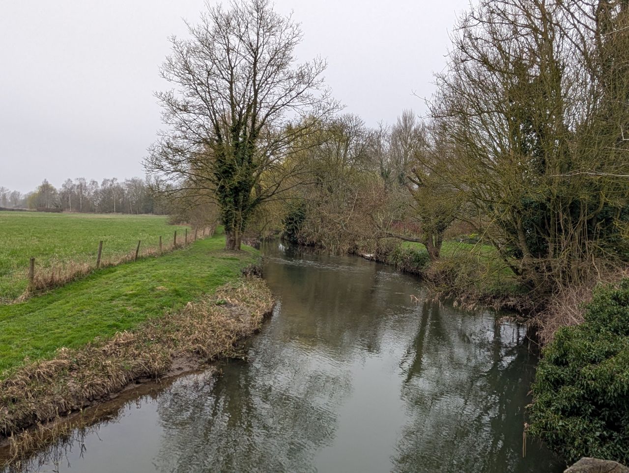 2026-03-06 44 Cavendish.jpg