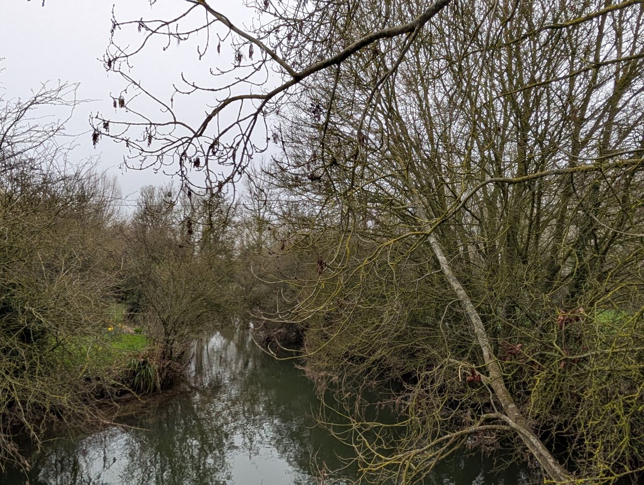 2026-03-06 45 Cavendish.jpg