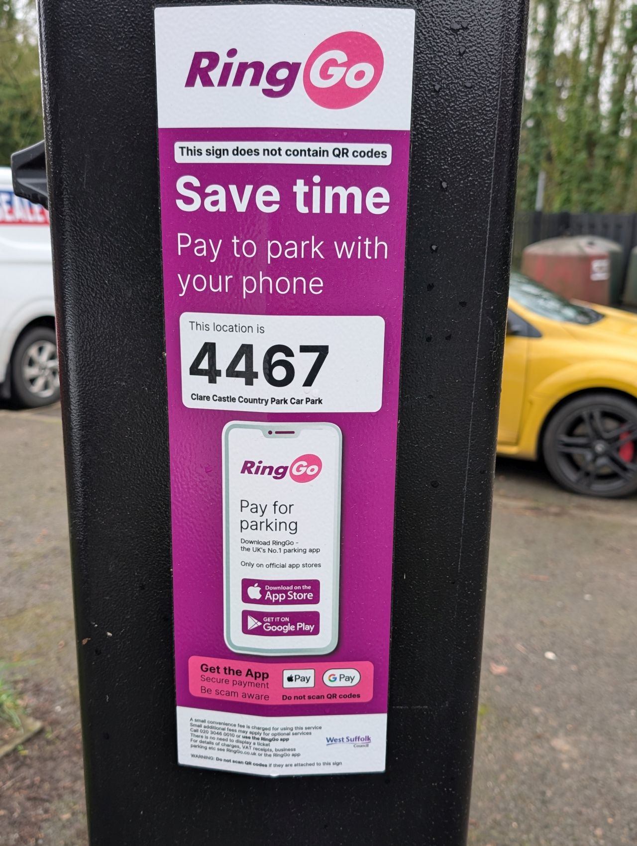 2026-03-07 02 Clare.jpg