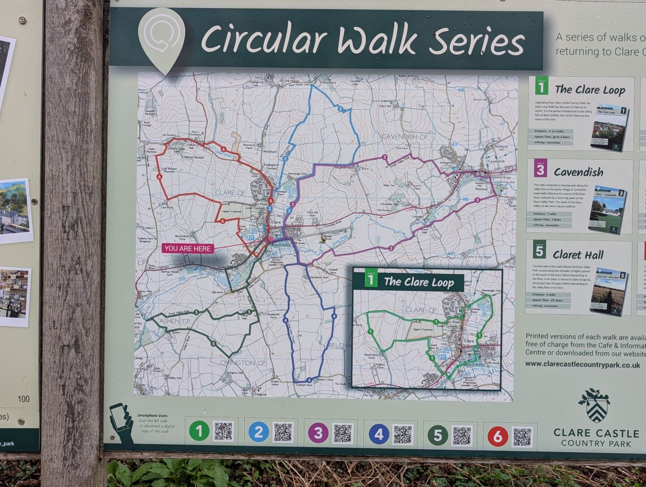 2026-03-07 03 Clare.jpg