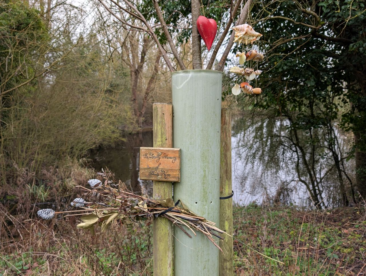 2026-03-07 17 Clare.jpg