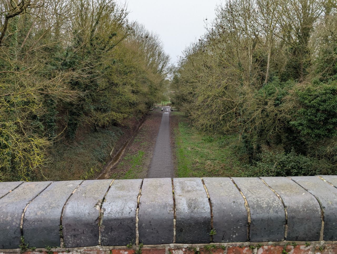 2026-03-07 18 Clare.jpg