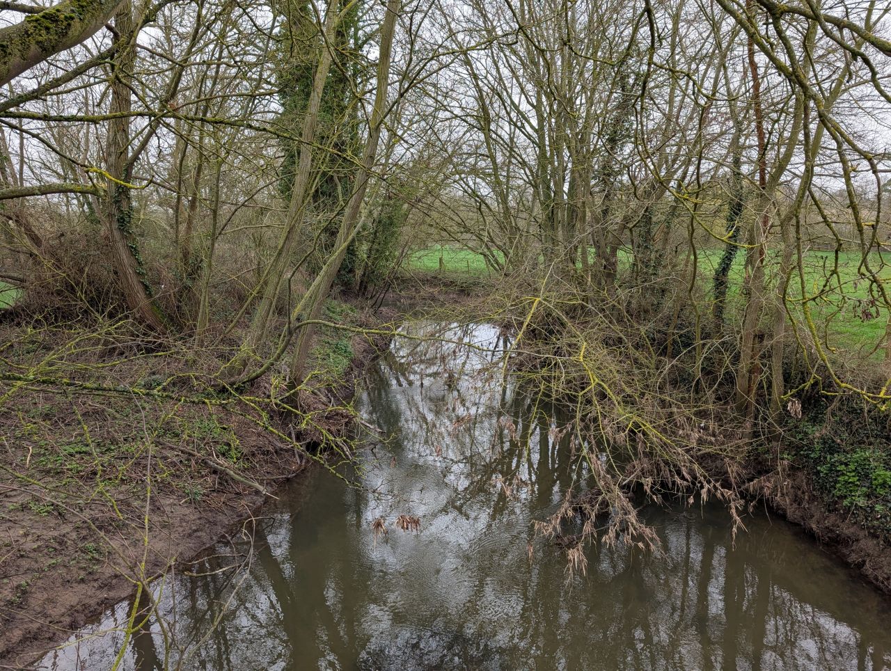 2026-03-07 20 Clare.jpg