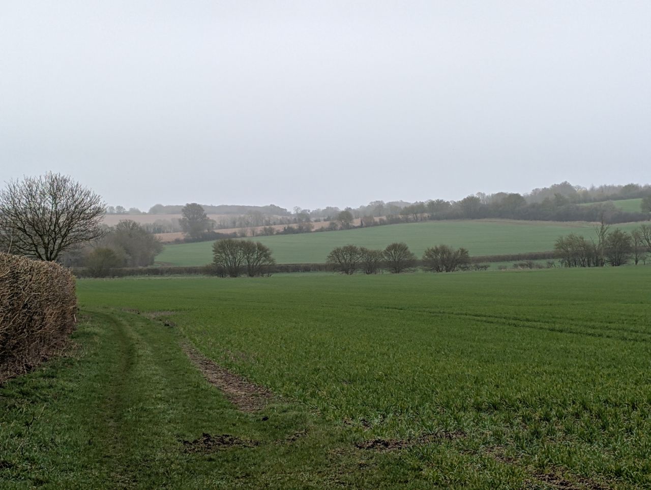 2026-03-07 23 Clare.jpg