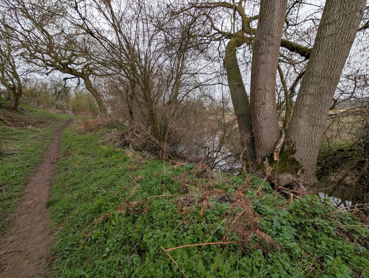 2026-03-07 25 Clare.jpg