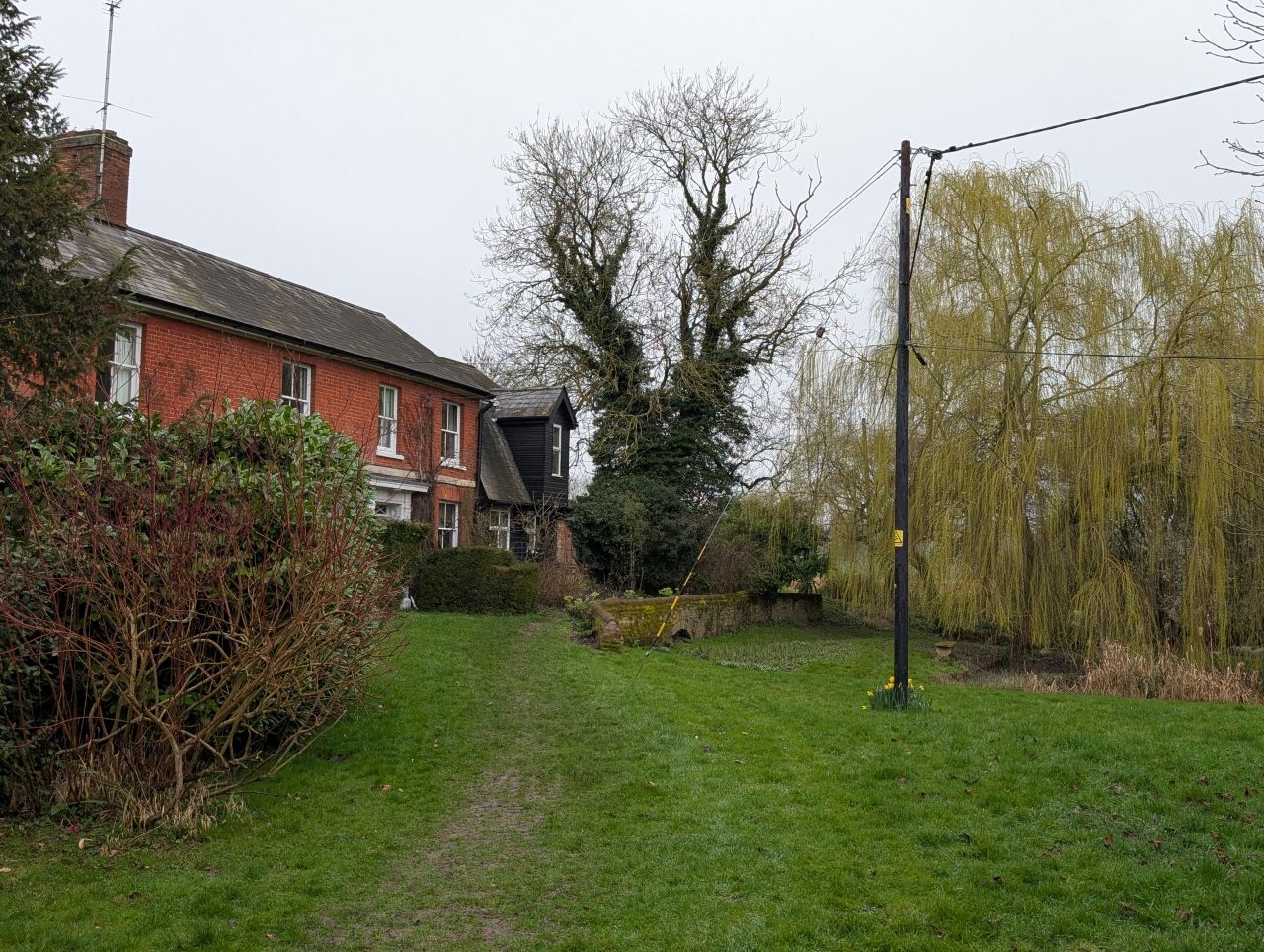 2026-03-07 27 Clare.jpg