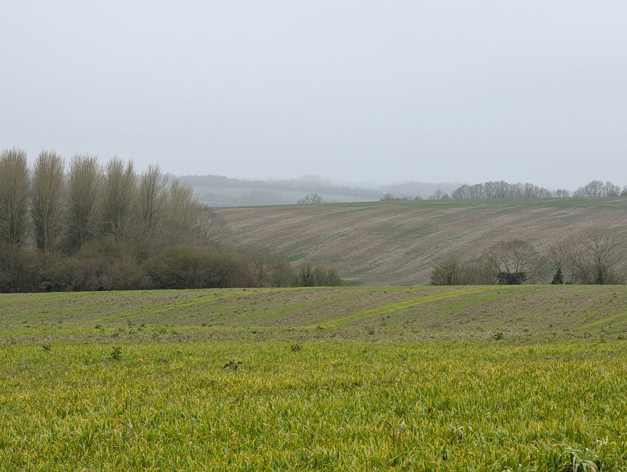 2026-03-07 29 Clare.jpg