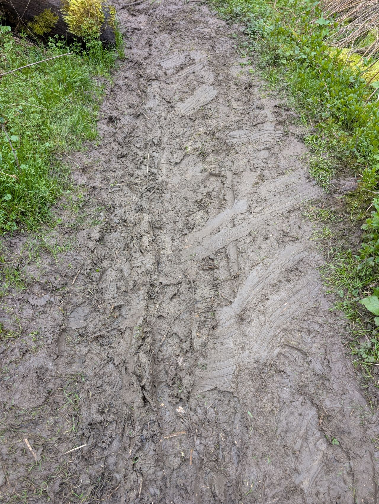 2026-03-07 30 Clare.jpg