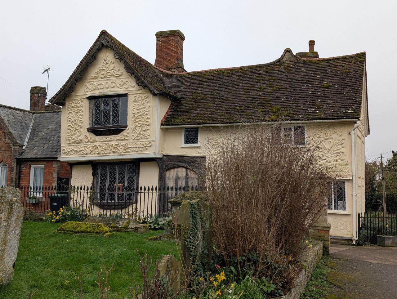 2026-03-07 49 Clare.jpg