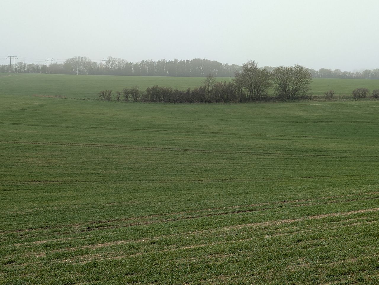 2026-03-08 09 Clare to Sudbury.jpg