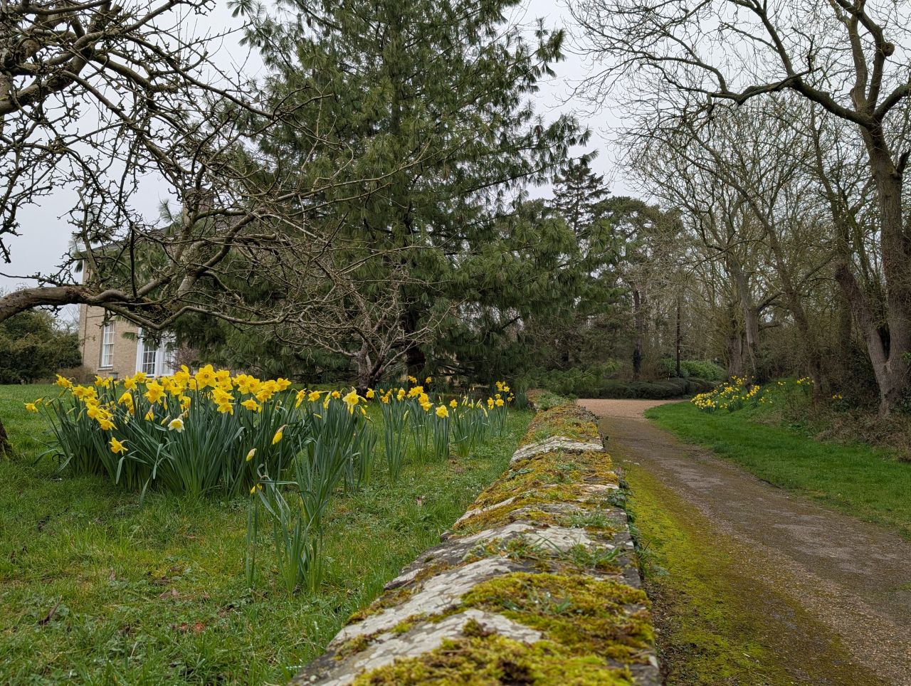2026-03-08 10 Clare to Sudbury.jpg