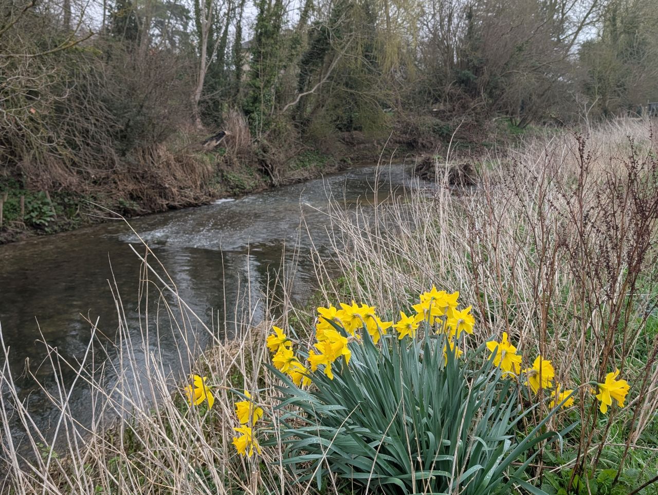 2026-03-08 23 Clare to Sudbury.jpg
