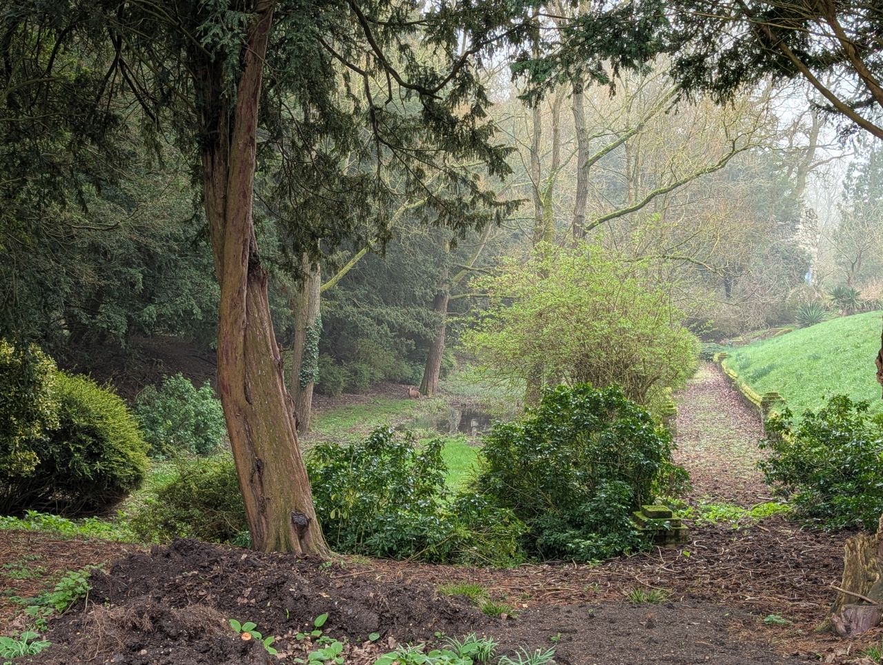 2026-03-09 29 Clare to Sudbury Belchamps.jpg