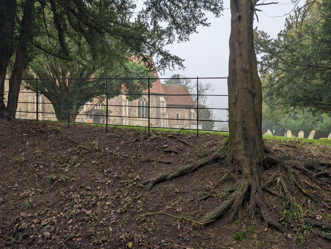 2026-03-09 30 Clare to Sudbury Belchamps.jpg