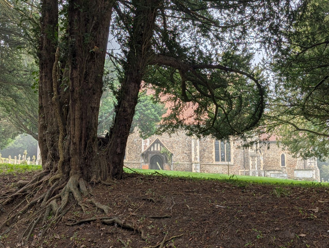 2026-03-09 31 Clare to Sudbury Belchamps.jpg