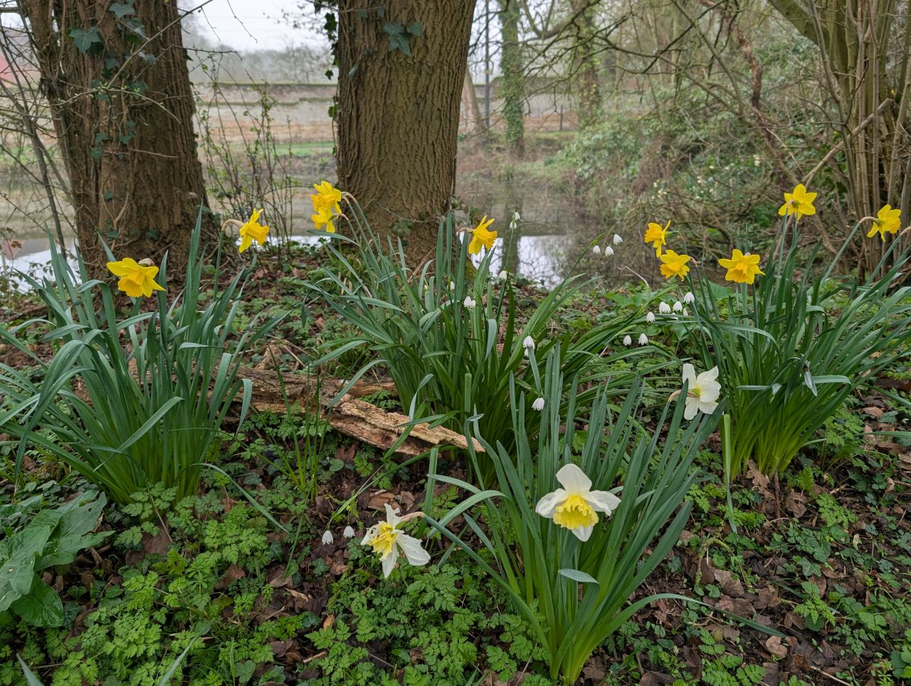 2026-03-09 38 Clare to Sudbury Belchamps.jpg
